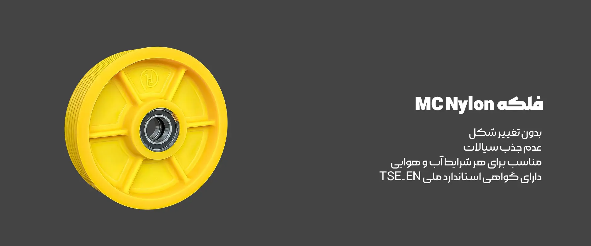 فلکه هرزگرد MC Nylon